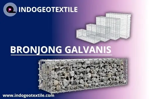 BRONJONG GALVANIS