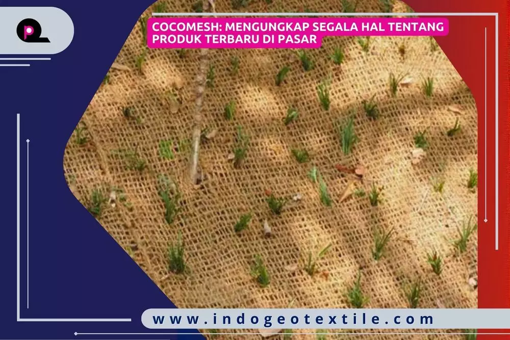 Cocomesh_ Mengungkap Segala Hal tentang Produk Terbaru di Pasar